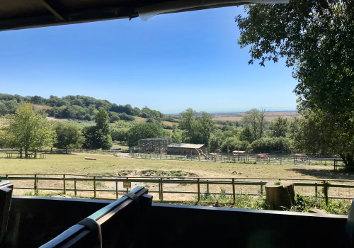 2008A Port Lympne-04