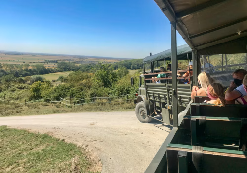 2008A Port Lympne-46