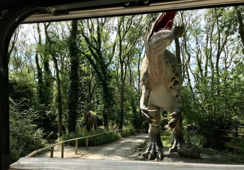 2008A Port Lympne-95
