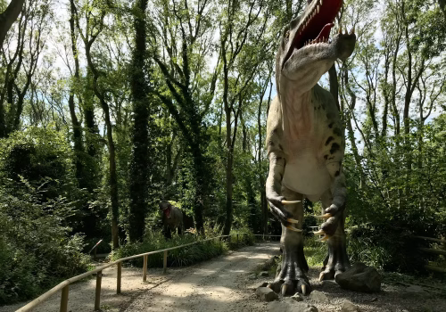 2008A Port Lympne-96