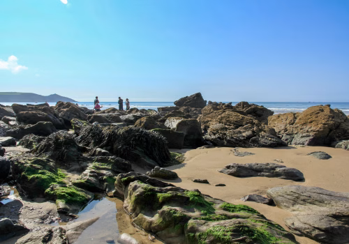 2009A2 13 Cornwall-041