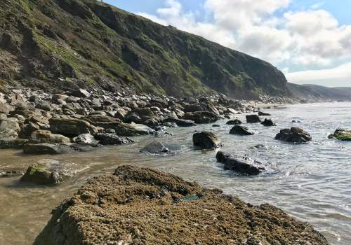 2009A2 13 Cornwall-064