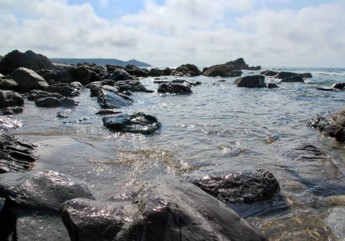 2009A2 13 Cornwall-080