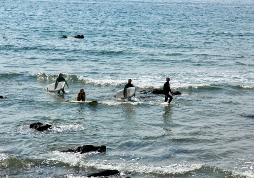 2009A2 13 Cornwall-087