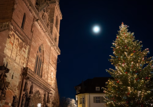 2511XX switzerland-029