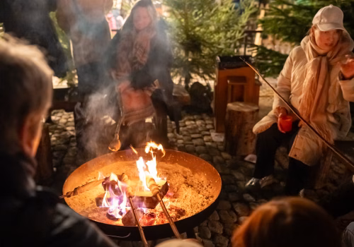 2511XX switzerland-031