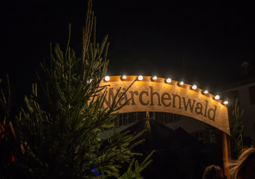 2511XX switzerland-035