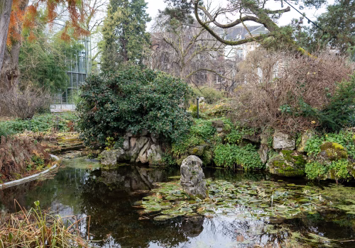 2511XX switzerland-042