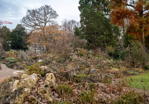 2511XX switzerland-044