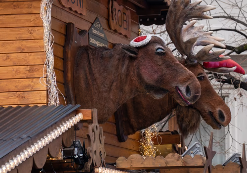 2511XX switzerland-070