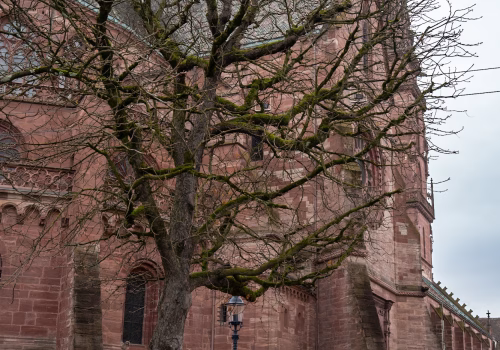 2511XX switzerland-077