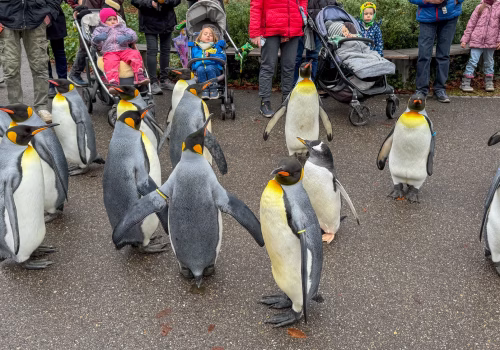 2511XX switzerland-090