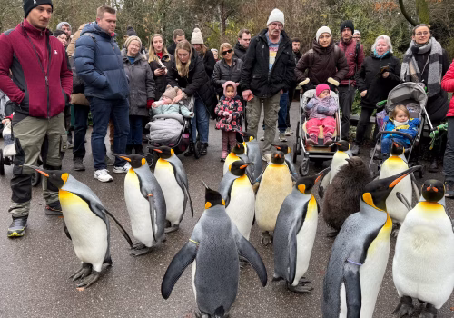 2511XX switzerland-092