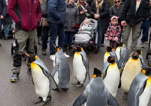 2511XX switzerland-093