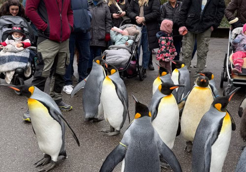 2511XX switzerland-094