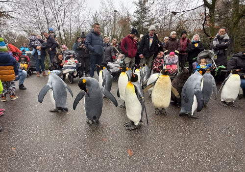 2511XX switzerland-095