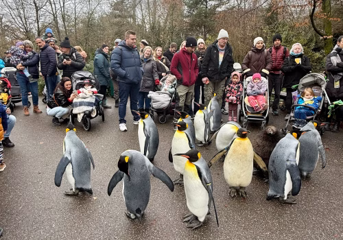 2511XX switzerland-097