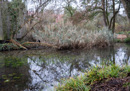 2511XX switzerland-105