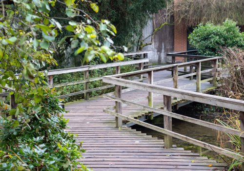 2511XX switzerland-116