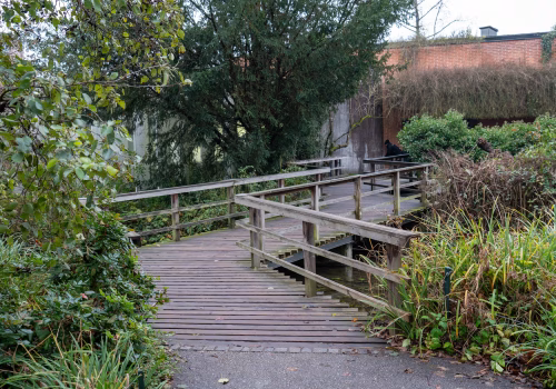 2511XX switzerland-117