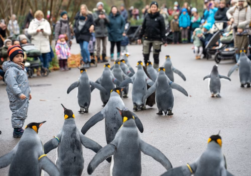 2511XX switzerland-125