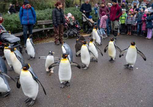 2511XX switzerland-132