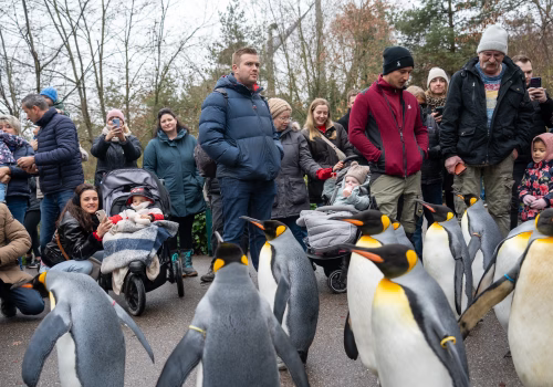 2511XX switzerland-136