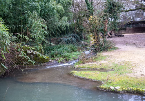 2511XX switzerland-140