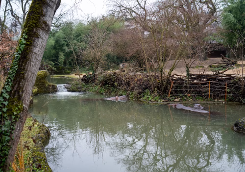 2511XX switzerland-142