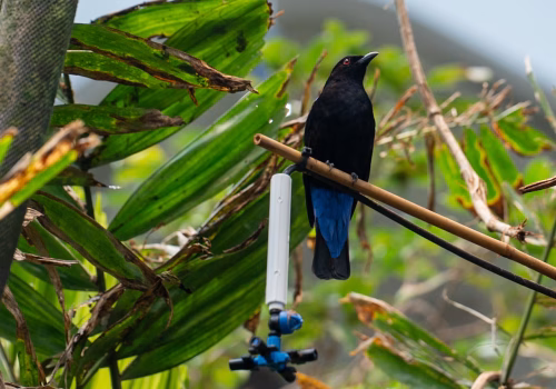 2511XX switzerland-148