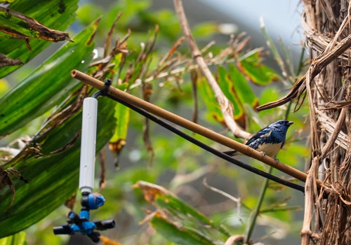 2511XX switzerland-149