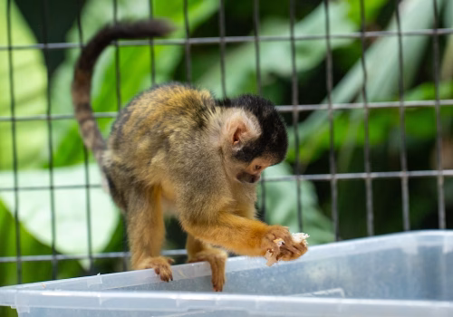 2511XX switzerland-158