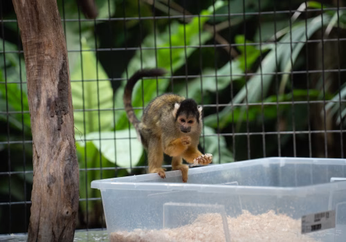 2511XX switzerland-159