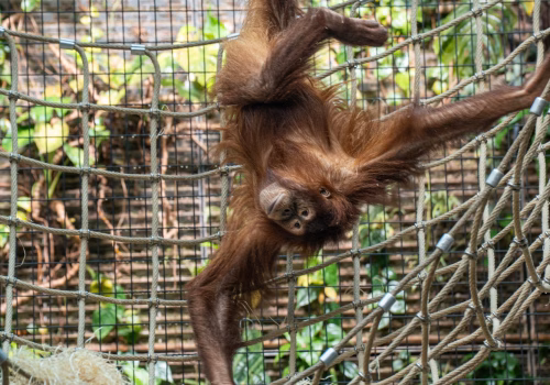 2511XX switzerland-164