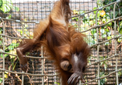 2511XX switzerland-165