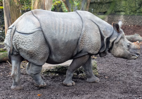 2511XX switzerland-181