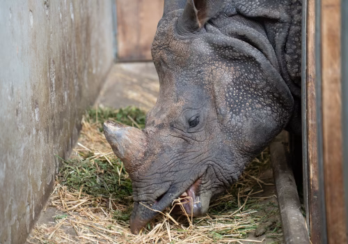 2511XX switzerland-182