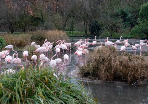 2511XX switzerland-184