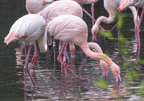 2511XX switzerland-186