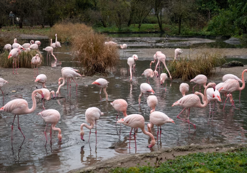 2511XX switzerland-187