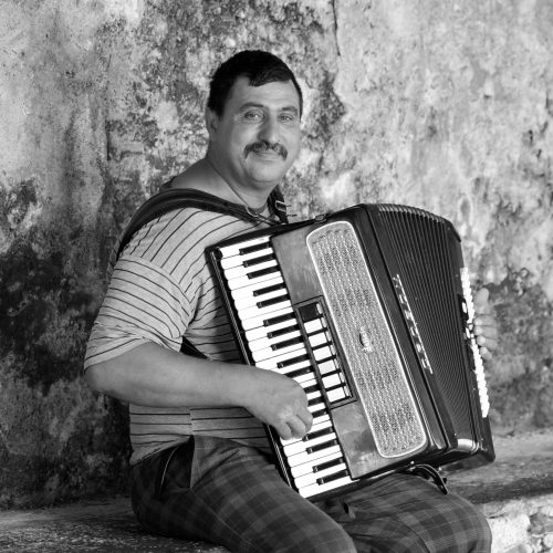 We love accordions?