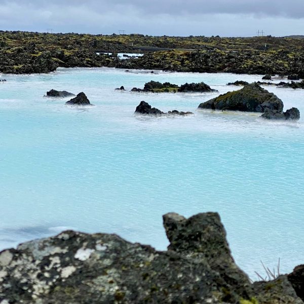 IMG_0193