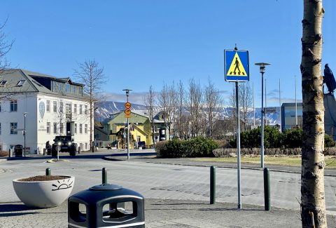 IMG_0318
