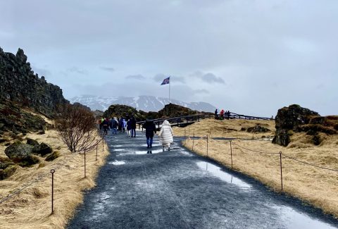 IMG_9932